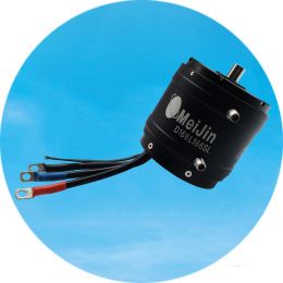 D166L166SL直流無刷電機 